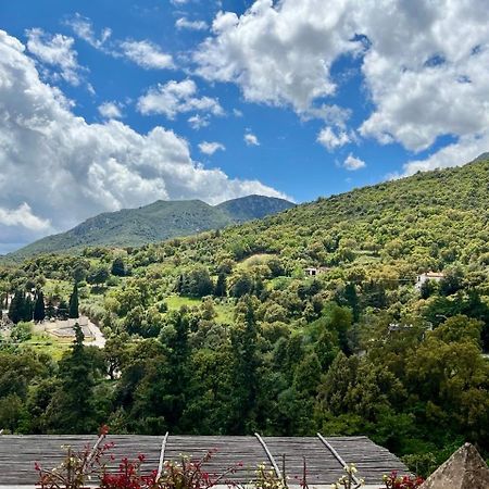 B&B Su Biancu - Sardinian Experience Urzulei Εξωτερικό φωτογραφία